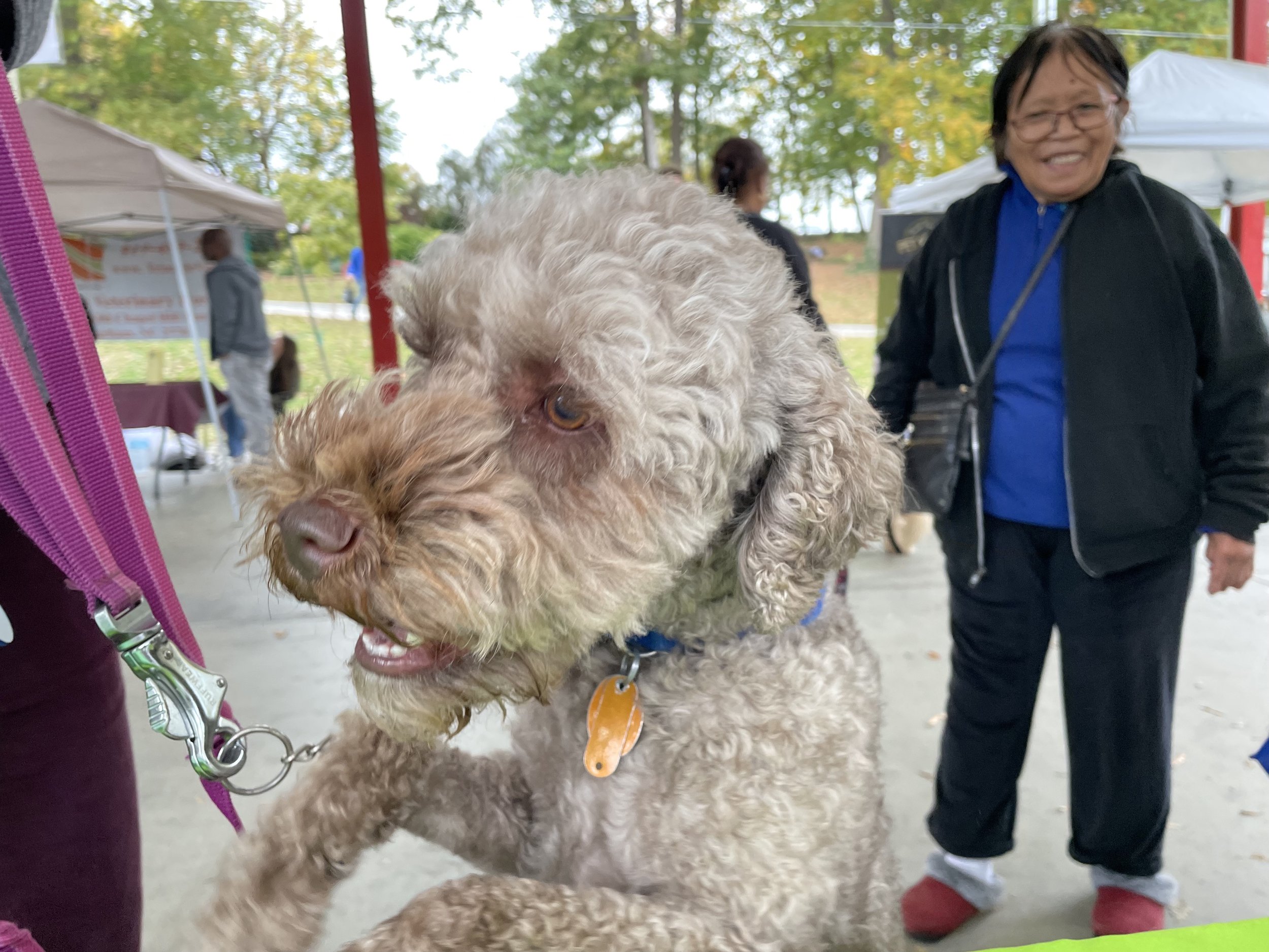 A friendly dog visits the Durham Parks Foundation at Durham's Barktoberfest in 2022.